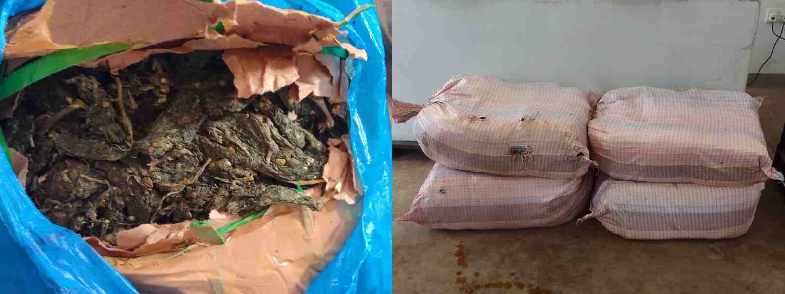 Rs. 42 Mn worth of Kerala Cannabis recovered adrift at sea